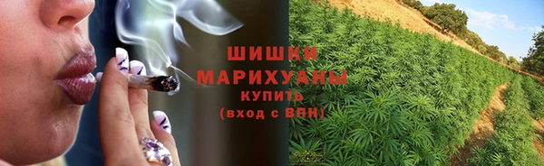 ALPHA PVP Куйбышев